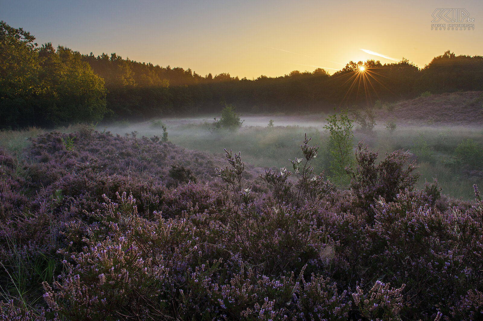 Sunrise at 's Hertogenheide 's Hertogenheide in Aarschot, Flemish Brabant Stefan Cruysberghs